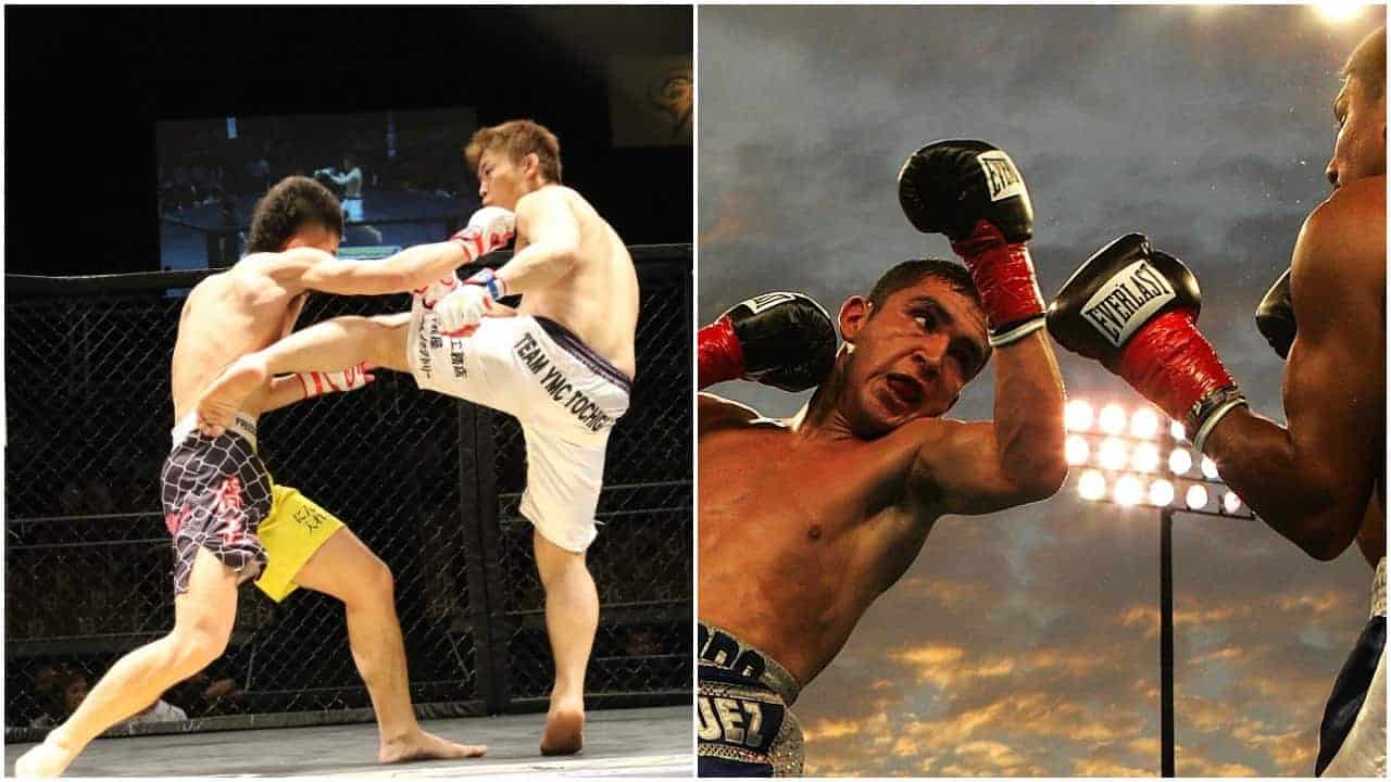 MMA vs Boxing Which is More Popular? Simple Analysis