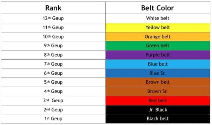 Taekwondo Belt Ranking System EASILY Explained For Beginners MMA Channel