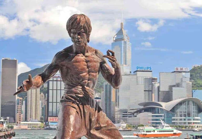 what-did-bruce-lee-mean-by-be-like-water-simply-explained-mma-channel