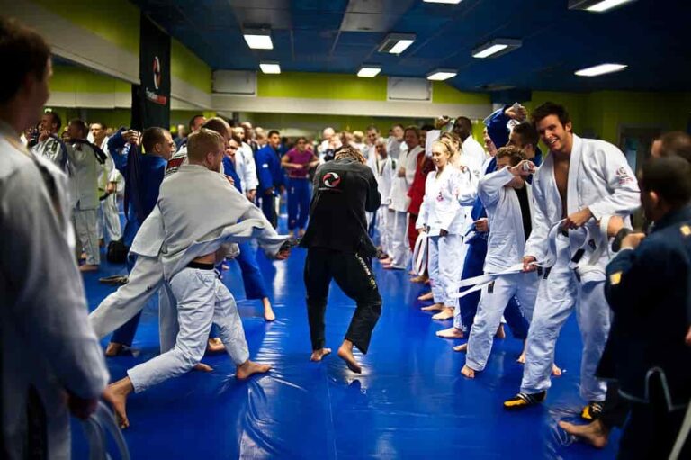 How Does Belt Promotion Work in BJJ? Complete Beginner's Guide