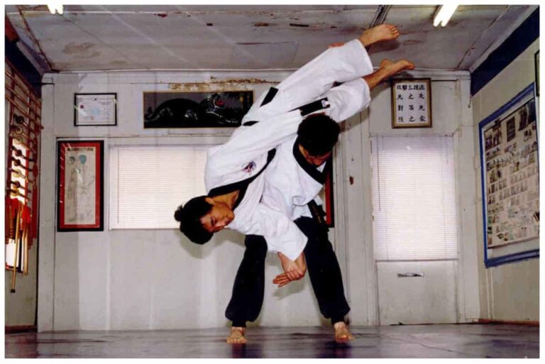 What is Hapkido? Guide to an Effective, Forgotten Martial Art
