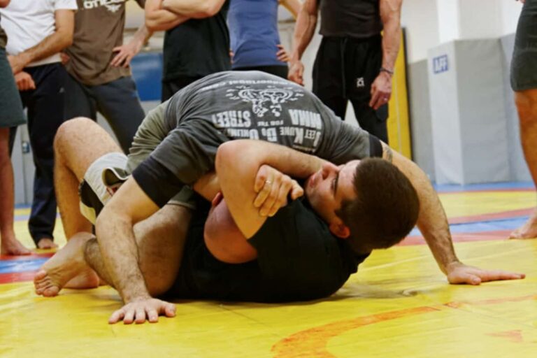What Is Luta Livre? The Forgotten Brazilian Grappling Art