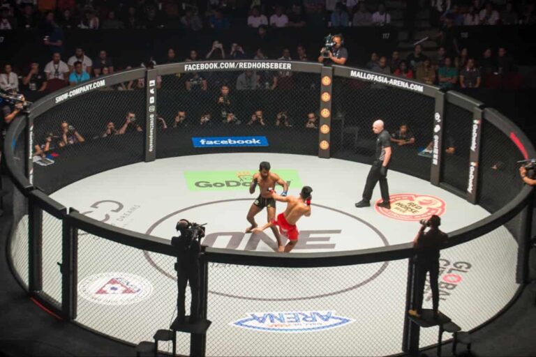 What Is ONE Championship? A Simple Guide to ONE Championship
