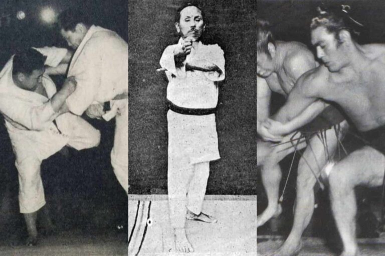 What Are the Different Styles of Japanese Martial Arts?