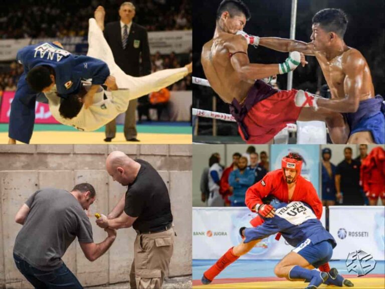 Top 10 Most UNDERRATED and OVERLOOKED Martial Arts